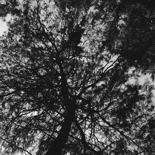 Photo #13882969