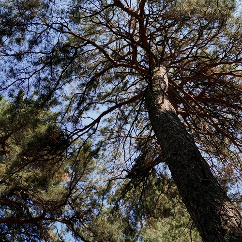 Photo #13882974