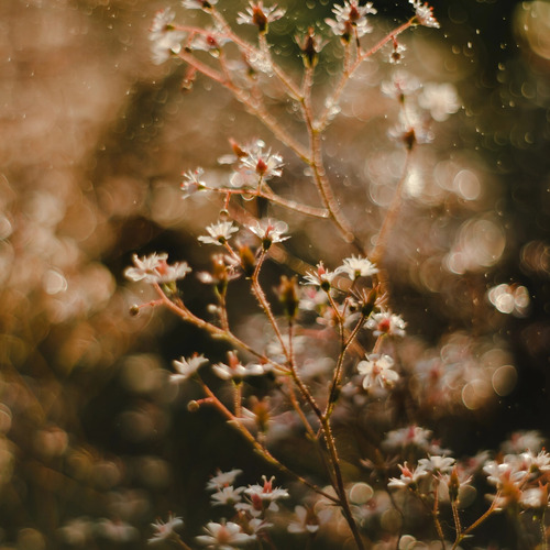 Photo #13882994