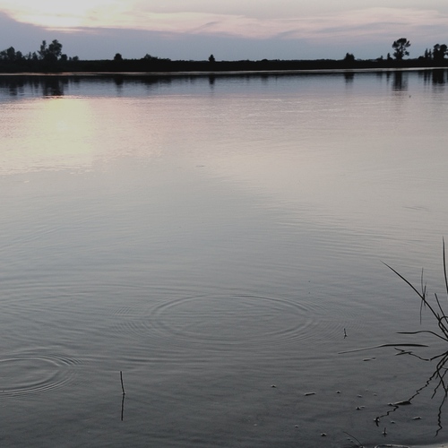 Photo #13882996