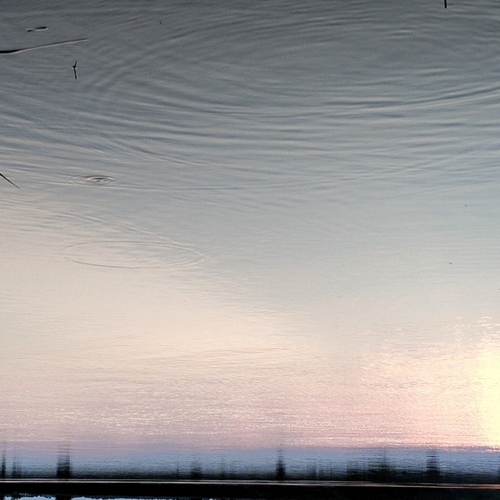 Photo #13882997