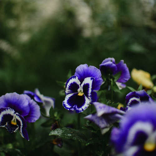 Photo #13883041