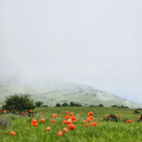 Photo #13883158