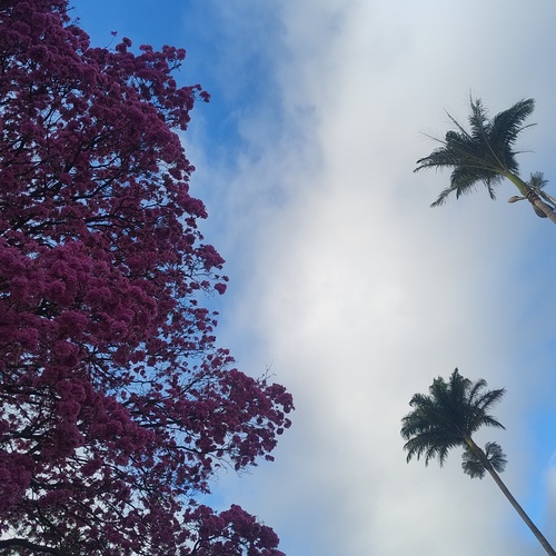 Photo #13883499