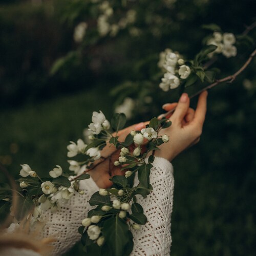 Photo #13883618