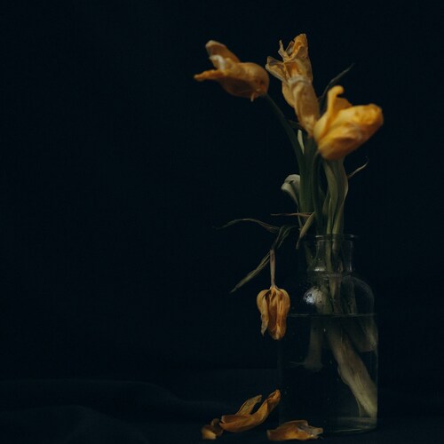 Photo #13883628
