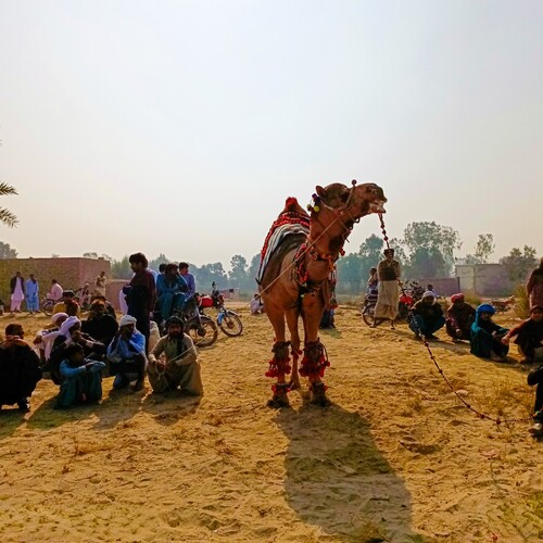 Photo #13883662
