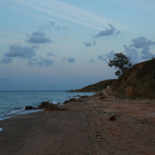 Photo #13883704