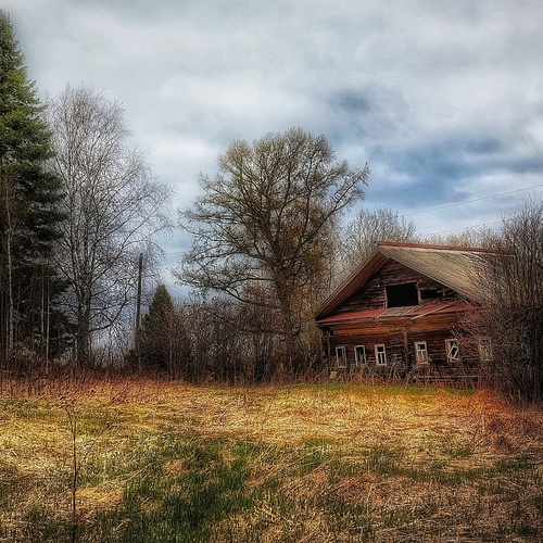Photo #13883722