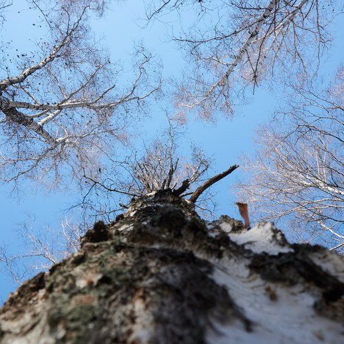 Photo #13883725