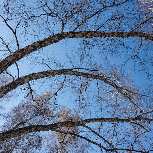 Photo #13883727