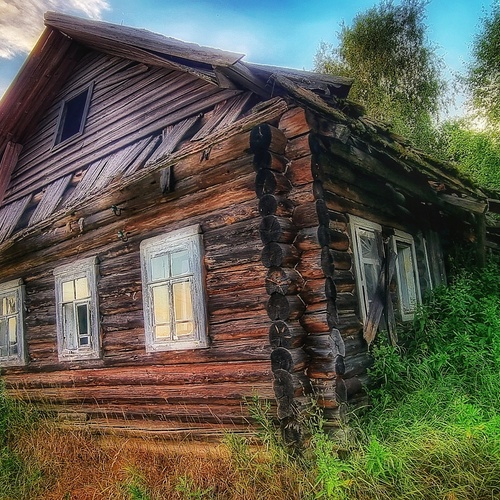 Photo #13883732