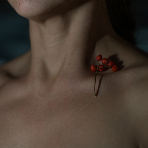 Photo #13883742