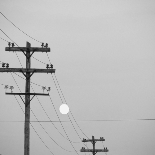 Photo #13883748