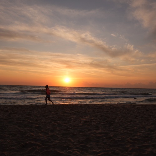 Photo #13883787