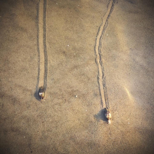 Photo #13883860