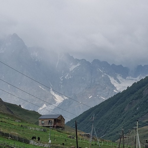 Photo #13883921