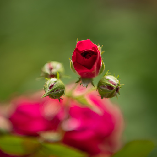 Photo #13883959