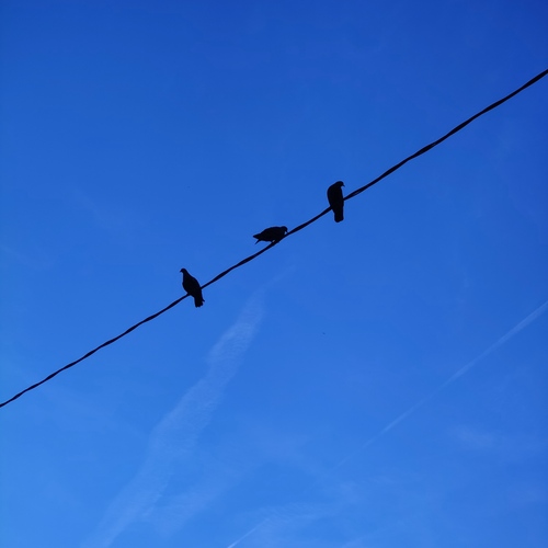 Photo #13884043