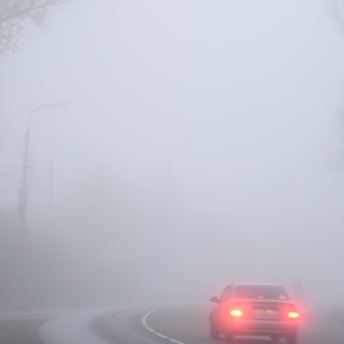 Photo #13884072