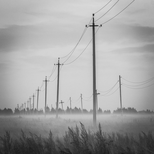 Photo #13884131