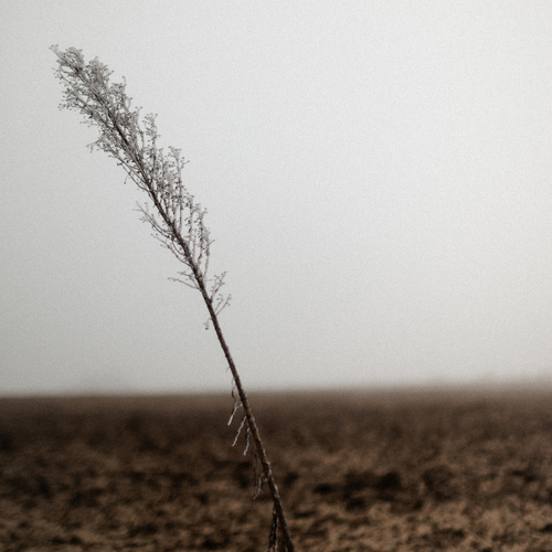Photo #13884185
