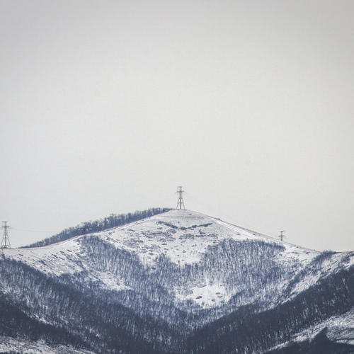 Photo #13884231