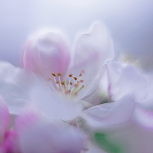Photo #13884310