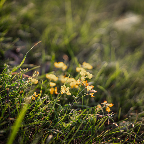 Photo #13884532