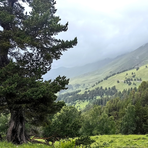 Photo #13884572