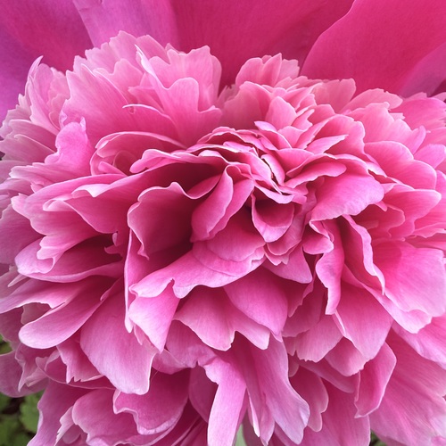 Photo #13884581