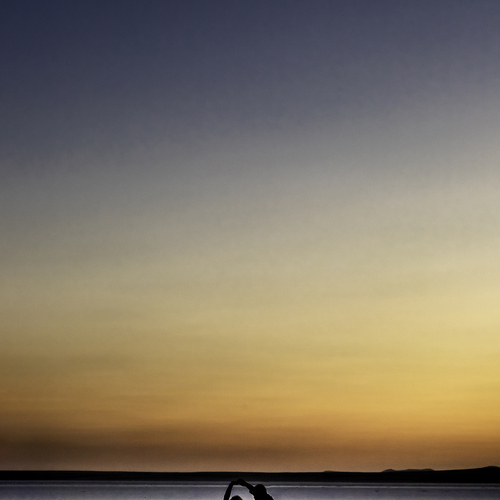 Photo #13884611