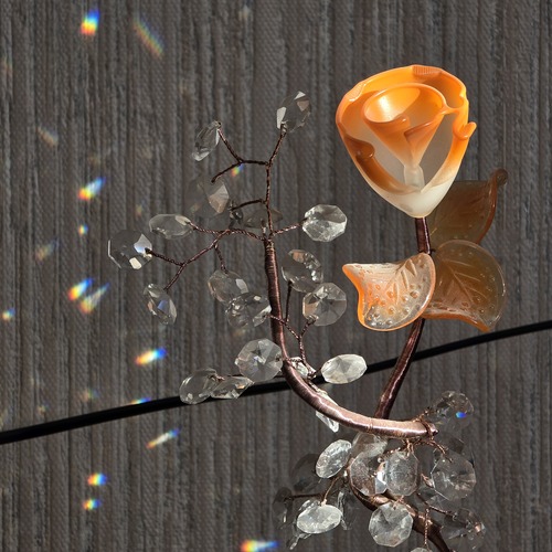 Photo #13884629
