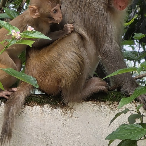 Photo #13884643