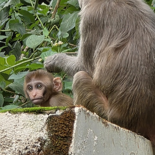 Photo #13884644