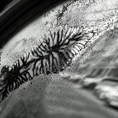 Photo #13884743