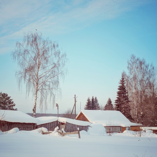 Photo #13884824