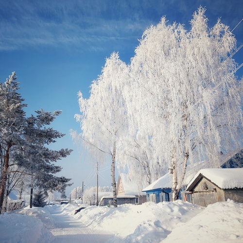 Photo #13884828