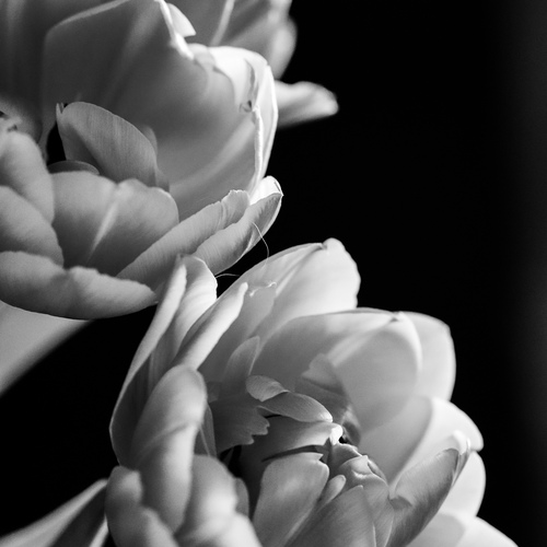 Photo #13884893