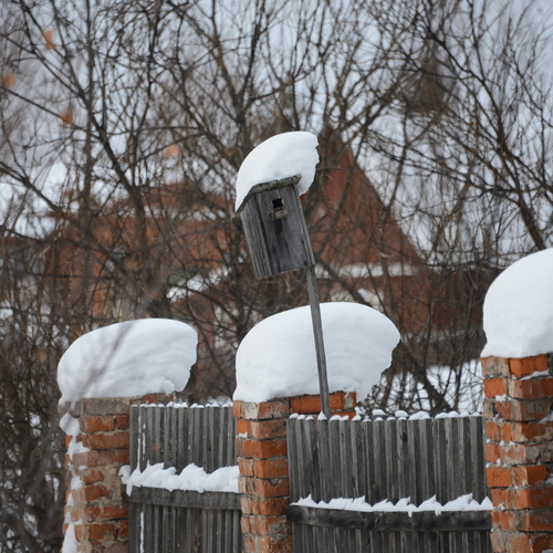 Photo #13884901