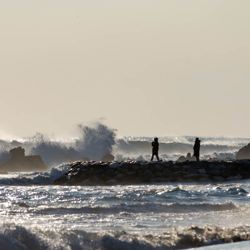 Photo #13884925