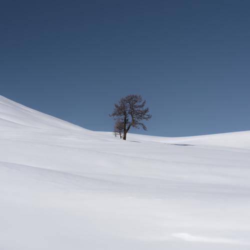 Photo #13884949