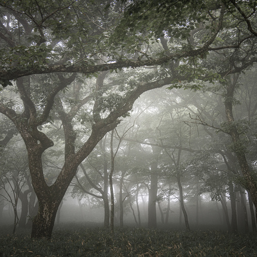 Photo #13885053