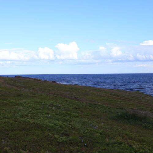 Photo #13885101