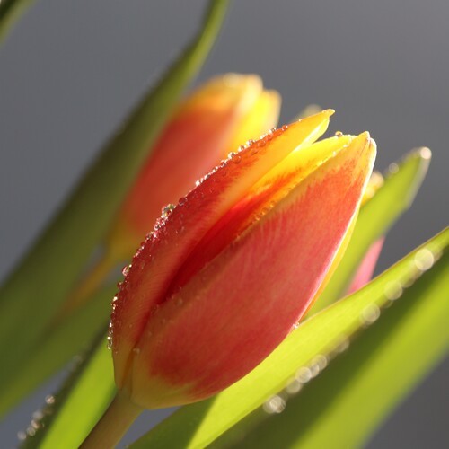 Photo #13885111