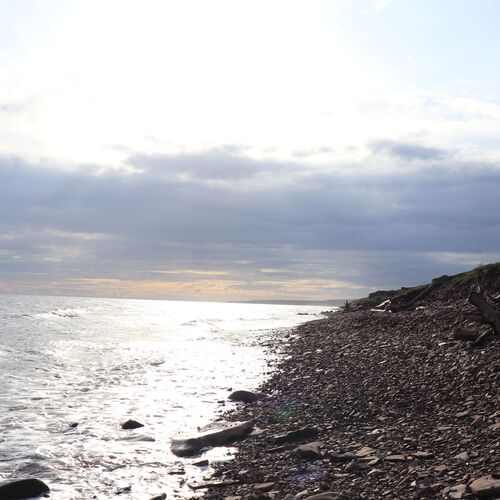 Photo #13885121
