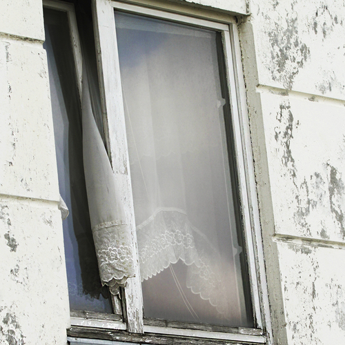 Photo #13885154