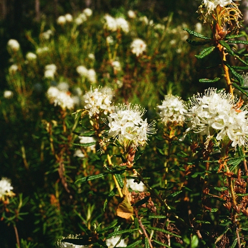 Photo #13885336