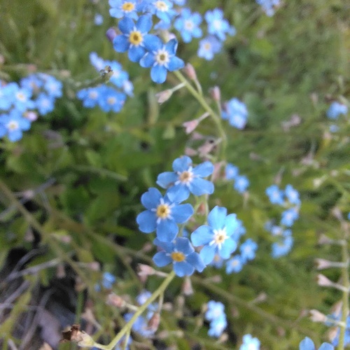 Photo #13885342