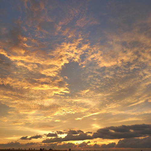 Photo #13885406